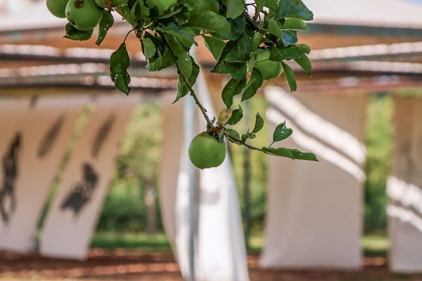 Een tak met groene appels op de voorgrond met daarachter - onscherp - de pagode